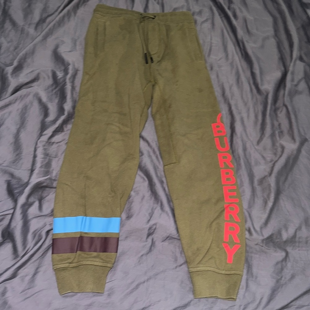 Burberry pants exotic color.